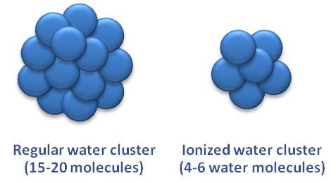 ionized water cluster
